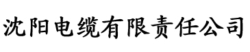 星空天美mv视频播放电缆厂logo